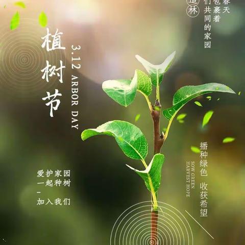 【雏鹰假日小队活动】“植下一棵树 收获万点绿”——福安实小龙江校区四（4）班