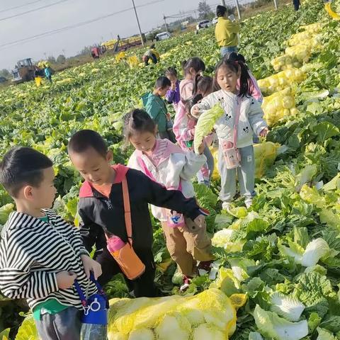 双叶幼儿园芽芽班《一次独立的出行》