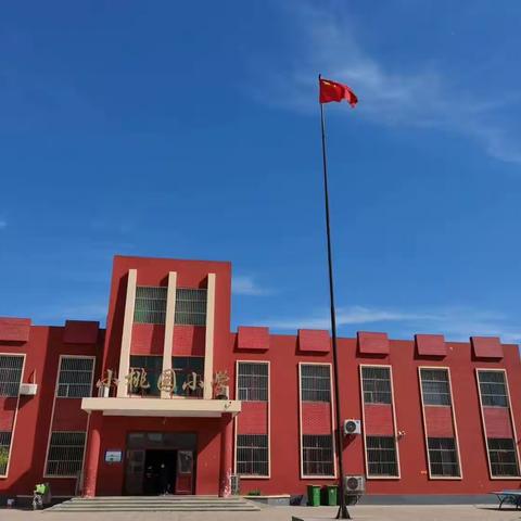 诵中华经典，做博学少年，建书香校园—霸州市东段乡小桃园小学