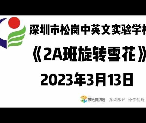 SG创客编程2A——《旋转雪花》