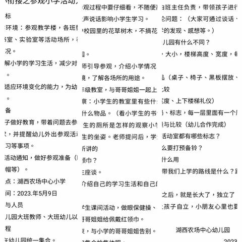 【幼小衔接】参观小学初体验、幼小衔接促成长——湖西农场中心幼儿园参观小学活动