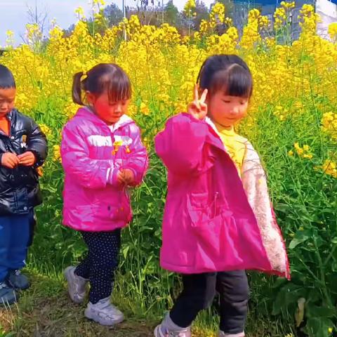 🌈温暖的阳光☀️，✨温暖的三月                🌞——城堡乐园幼儿园中一班