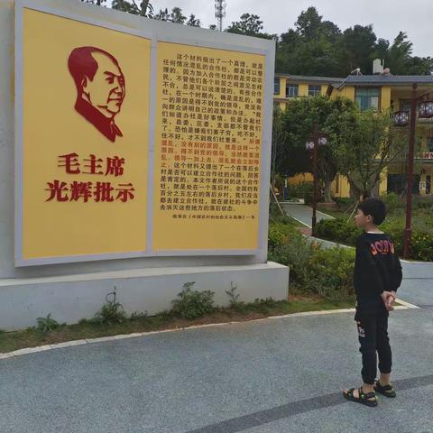 罗国宸2023年暑假综合实践作业