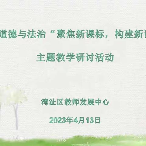 聚焦新课标     构建新课堂——湾沚区小学道德与法治主题教学研讨顺利举行