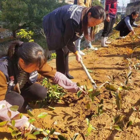 小溪社区开展“党旗领航，绿满家园”植树活动