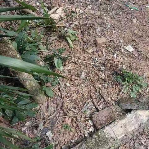 文城镇落实市环卫局3月5日对文城镇文城片区霞洞十三村和鳌头八村环境卫生督查反馈整改情况美篇