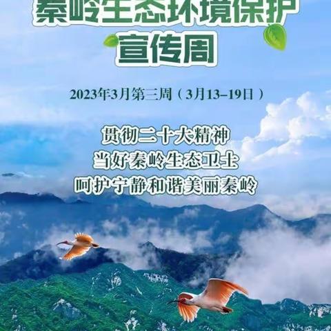 《保护秦岭生态        守护绿水青山》——高陵迪尔贝贝幼儿园