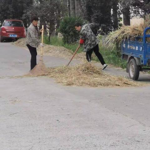 大刘镇驻村第一书记主动作为勇担当  全力以赴保夏收