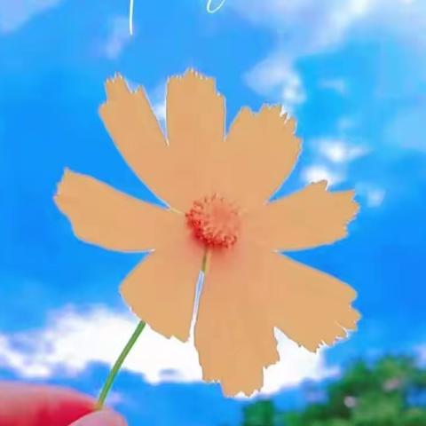 🌻金色阳光幼儿园花花二班《踏春》