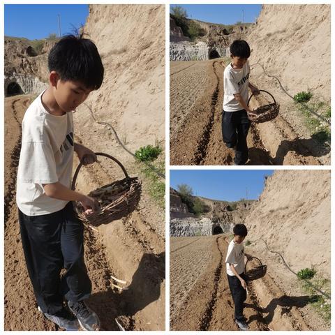 缤纷炫五月 礼赞劳动美——达旗第五小学五（3）班五月劳动实践活动掠影