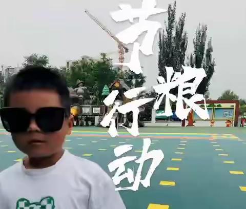 华康幼儿园大班组--《节约粮食》主题活动