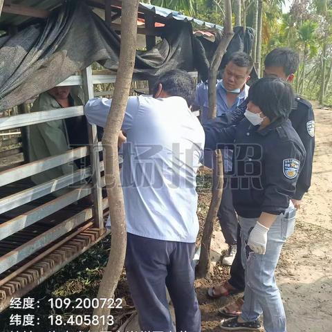 崖州区农业农村局崖城一片区动物防疫员在北岭村春防免疫