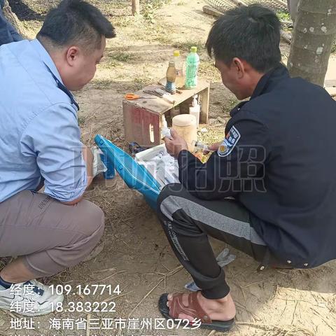 崖州区农业农村局崖城一片区动物防疫员在拱北村春防免疫