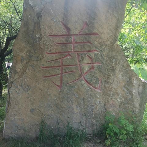 山藏掩翠松  寺古傍幽洞