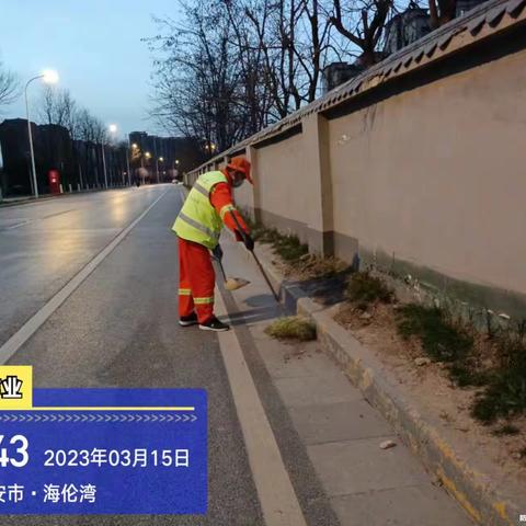西安博德尔--雁鸣湖一标2023年3月15日工作汇报