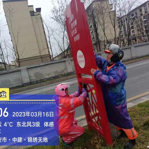 西安博德尔--雁鸣湖一标2023年3月16日工作汇报