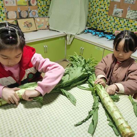 求实侨星幼儿园——大一班《凉拌莴笋》