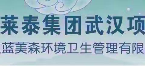 上海莱泰集团武汉项目部3月13日工作纪实 星期一 晴7°C至19°