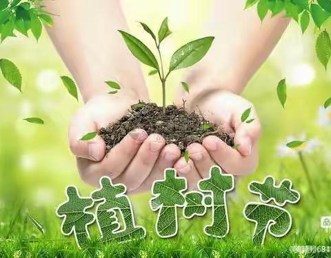 认养一棵树·守护一片绿 ----邢台市第二十六中学植树节绿植认养主题活动