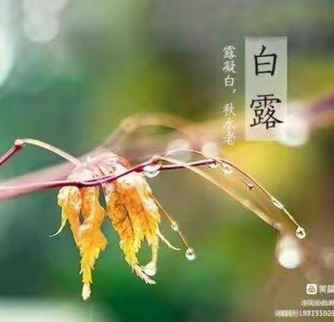 “秋风生白露，露至秋意浓”————    一年级二班“白露”节气实践活动