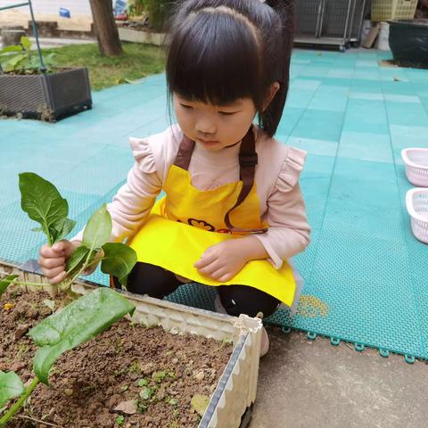 ✨自己动手，丰衣足食💫