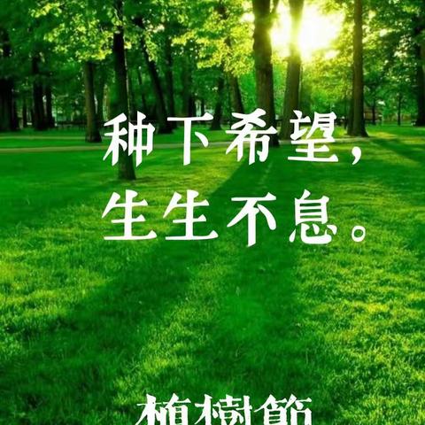 【党建＋德育】春风十里，正“植”有你，与绿相伴，向美而行。晨曦班植树节主题活动。