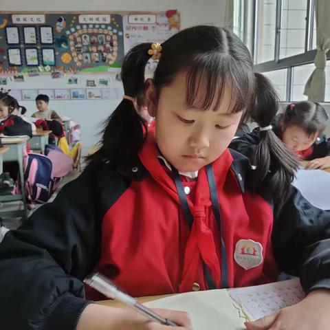 仰天湖赤岭小学第八次课后反馈