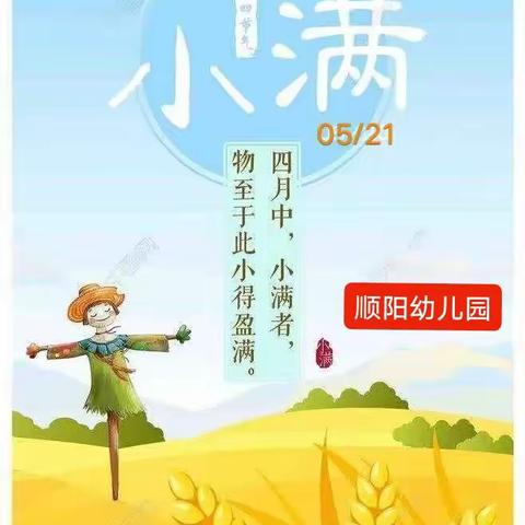 时值小满，所遇皆欢————顺阳幼儿园【二十四节气小满】