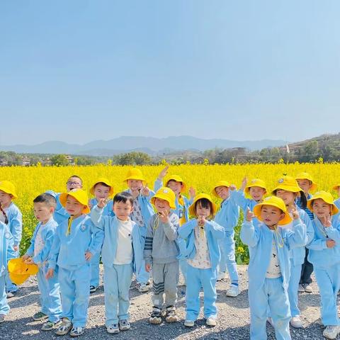 🌷金沙湾国际幼儿园中A班第六周精彩回顾🌷