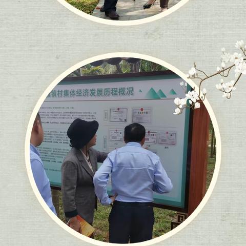 中央党校（国家行政学院）王满传教授调研红旗镇宜居宜业和美乡村建设工作