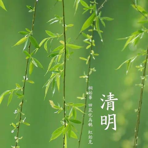 清明节放假通知