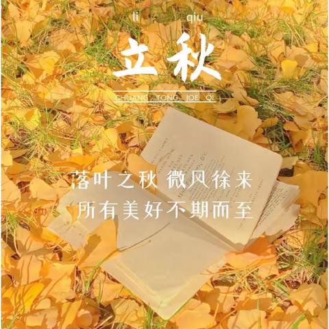 滨城区市中街道中心幼儿园小二班——立秋🍂