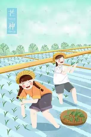 春插稻秧苗，秋盼稻花香——洞口县花园镇中学组织学生开展插秧实践活动
