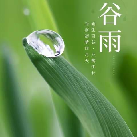 雨生百谷 时至暮春——大四班食育课程故事