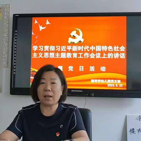 《学习贯彻习近平新时代中国特色社会主义思想主题教育工作会议上的讲话》主题党日活动