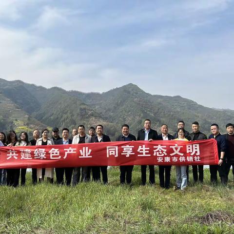 市供销社深入包联企业开展茶园建设帮扶工作