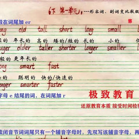 六下 第二、三单元(重点)