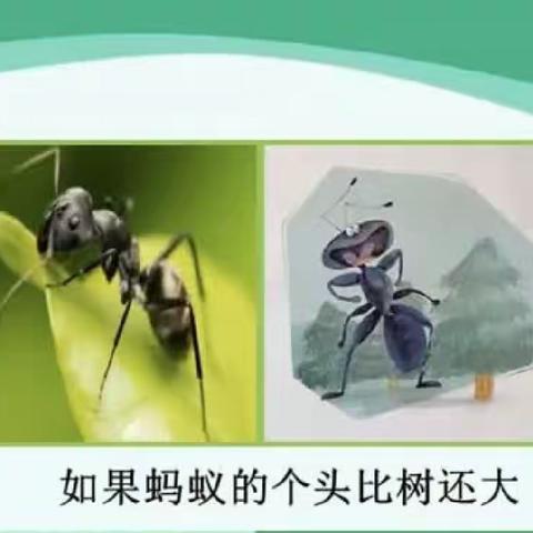 快乐作文的美篇