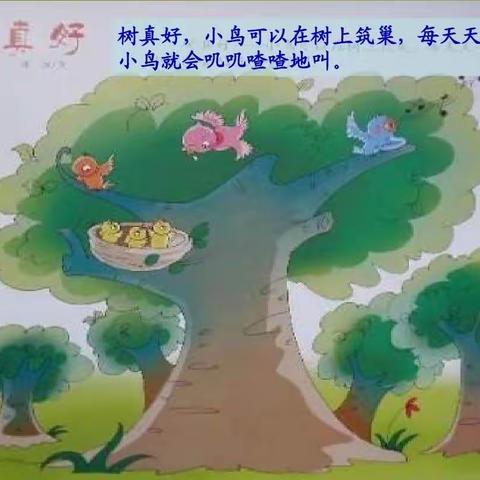 世纪星幼儿园兔兔🐰广播站—散文诗《树真好》