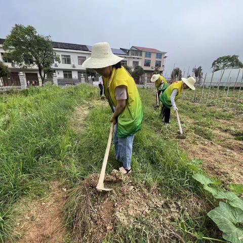 任弼时纪念馆党支部“服务三农”实践活动