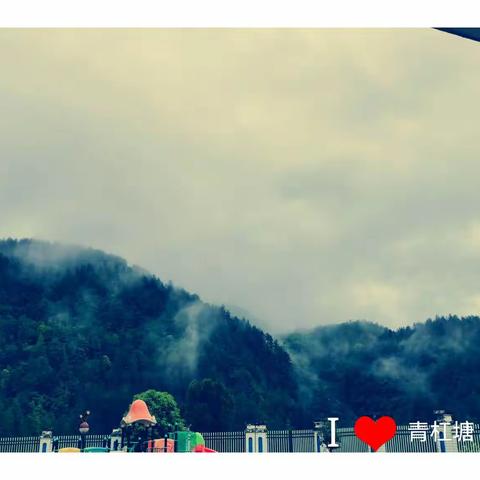 大自然的搬运工