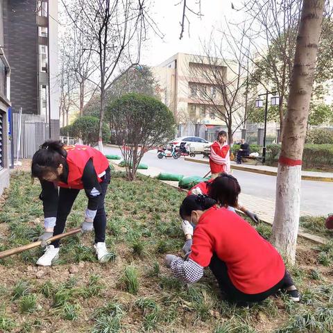 珍爱绿色 珍爱我们共同的家园——大石头社区植树节主题活动