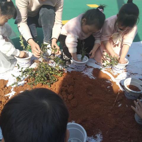 幼儿园植树节