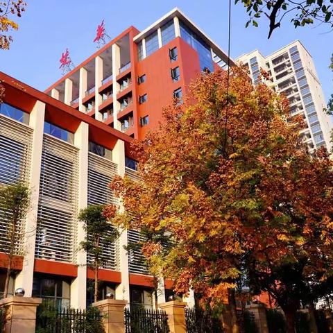 运动点燃激情，校园别样风采          ——记小64班运动会