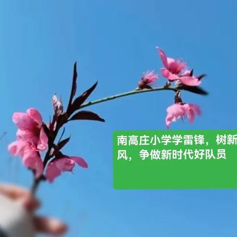 学雷锋，树新风，争做新时代好队员