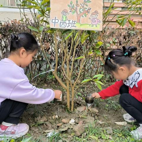 “我为梓潼添抹绿”植树节活动