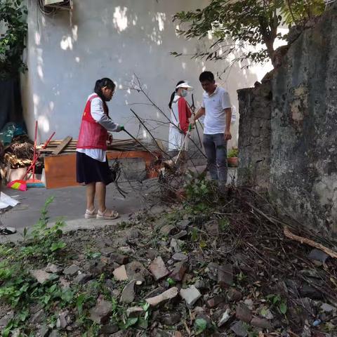 和平南街道文明社区开展爱国卫生大扫除活动