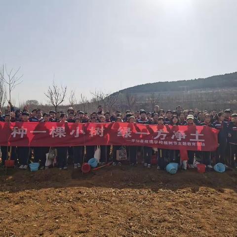 种一颗小树，绿一方净土——玫瑰学校开展植树节主题教育活动