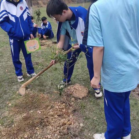 春风十里，正“植”有你——湘潭市第四中学开展植树节主题活动（副本）