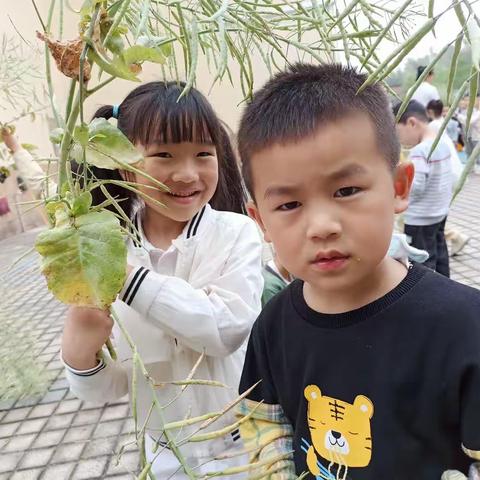 🌸迎接美好-快乐成长🌸中k4班第十三周